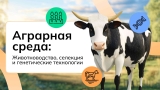 Ульяновские школьники познакомились с профессиями будущего в сфере генетики и животноводства